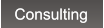 Consulting Consulting