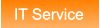 IT Service IT Service